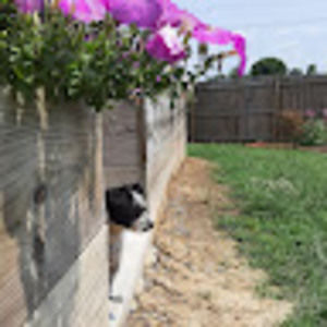 Meet your Posher, Lydia